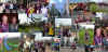 london_collage.jpg (498693 bytes)